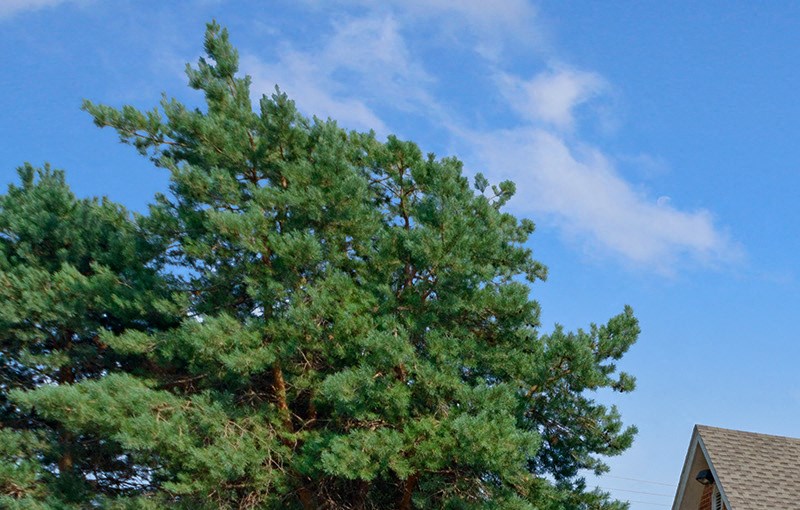 Colonial Village | Apartments in West Des Moines, IA